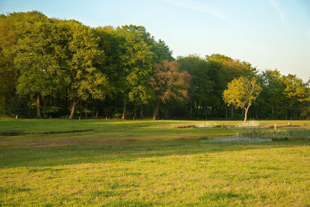 Hoeve Springendal Оотмарсум Экстерьер фото