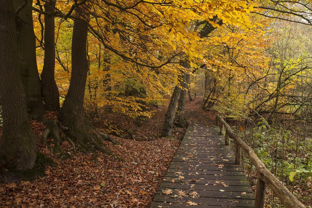 Hoeve Springendal Оотмарсум Экстерьер фото
